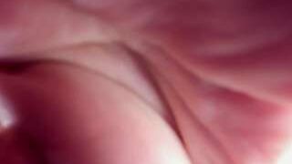 danieink