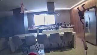 voyeurcam-casa-salsa-fishtank