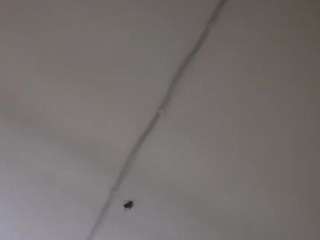 juicysipsxxx