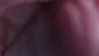 violetta-hot