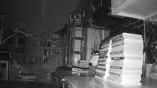 voyeurcam-bridgetleewalters-02