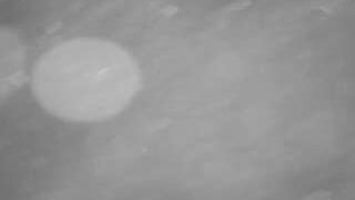 voyeurcam-casa-salsa-pool-1