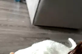 AngelinaTeller