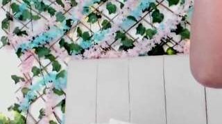 lexibloom