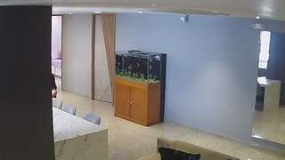 voyeurcam-casa-salsa-parlor