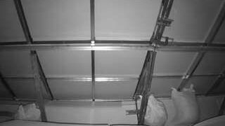 voyeurcam-jb-room-2