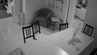 voyeurcam-julmodels-dining
