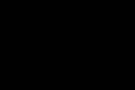 Syka0001