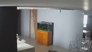 voyeurcam-casa-salsa-parlor