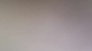 trustedpetsittersnaples