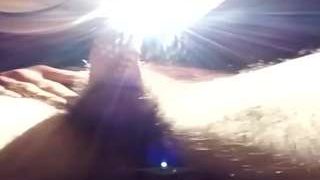 truthfulpolishgrip568