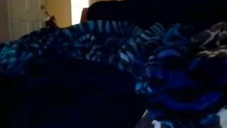 unapologeticspinelli