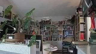 voyeurcam-bridgetleewalters-02