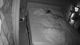 voyeurcam-whitneyoc-01