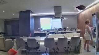 voyeurcam-casa-salsa-fishtank