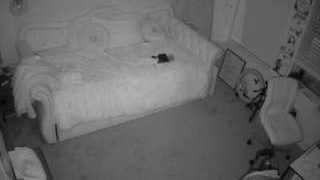 voyeurcam-hazelgrace-02