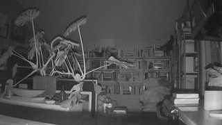 voyeurcam-bridgetleewalters-02