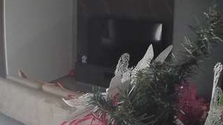 voyeurcam-casa-salsa-kitchen