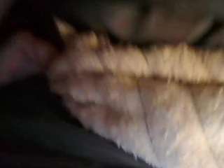 angellalexxx