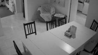 voyeurcam-julmodels-dining