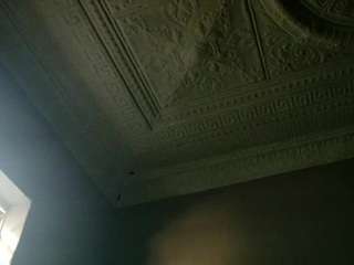 darkvenusxxx