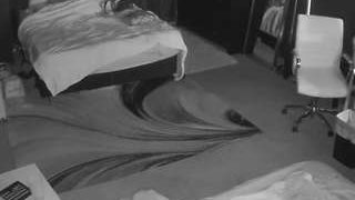 voyeurcam-baileybase-room