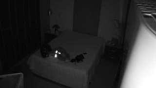 voyeurcam-casa-salsa-bedroom-8