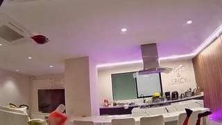 voyeurcam-casa-salsa-fishtank