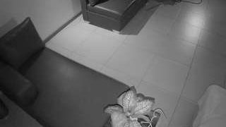 voyeurcam-jb-office-2