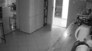 voyeurcam-julmodels-kitchen