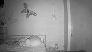 voyeurcam-lolavalentine23