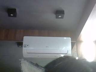 skinnykittencam