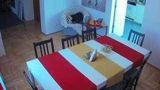 voyeurcam-julmodels-dining