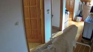 voyeurcam-julmodels-hall-2nd