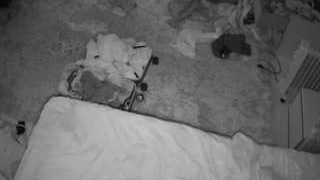 voyeurcam-julmodels-whitebed-5