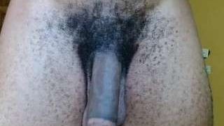dick-herr7