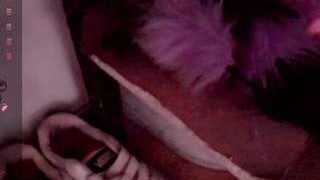 kendall-hornyy