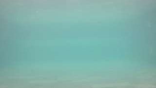 voyeurcam-casa-salsa-pool-1