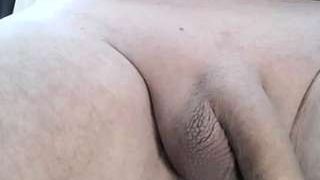 diabuss