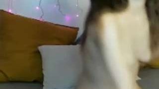 ininitykitty