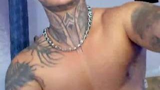 stefantransman