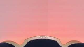 viviprinncess