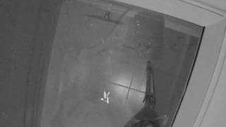 voyeurcam-casa-salsa-bathroom-12