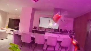 voyeurcam-casa-salsa-fishtank
