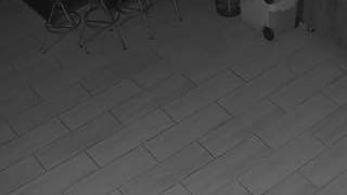 voyeurcam-casa-salsa-panoramic