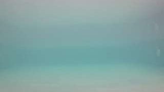 voyeurcam-casa-salsa-pool-1