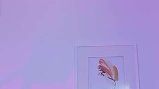 miss-dinah