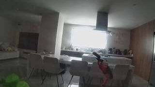 voyeurcam-casa-salsa-fishtank