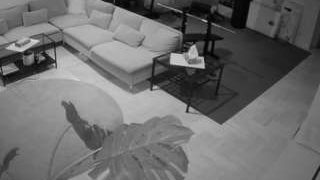 voyeurcam-julmodels-living-2