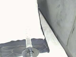 hetairalexx